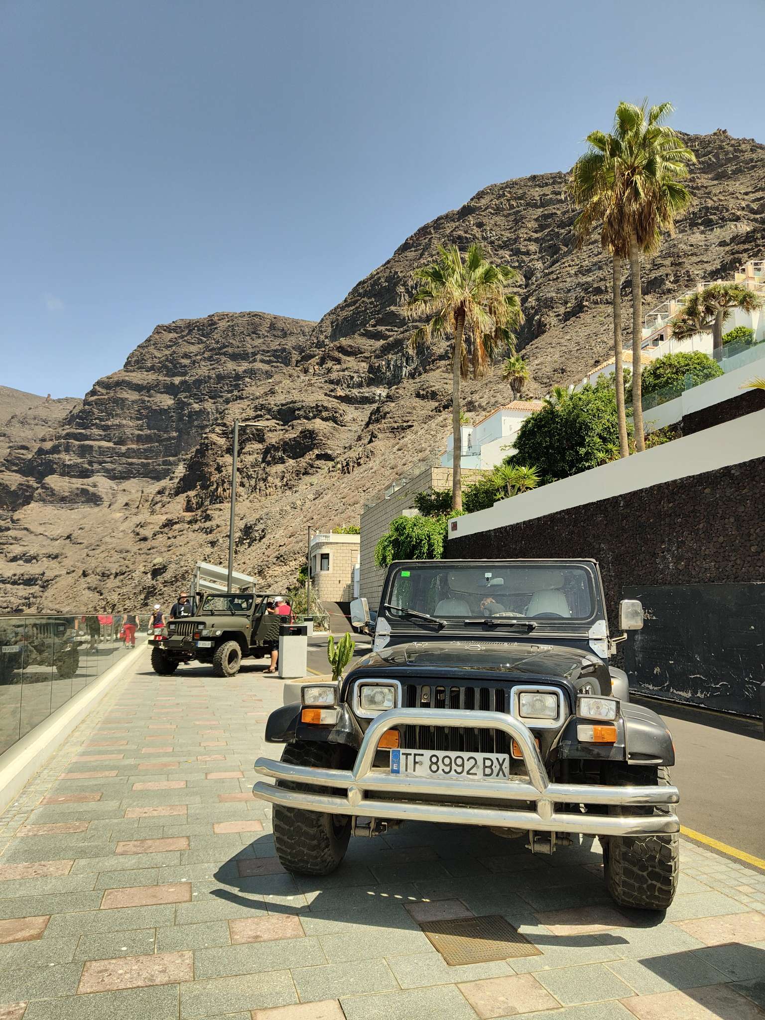 Excursión guiada y actividades en Tenerife, Islas Canarias - SOUL JEEP TOURS - Day time