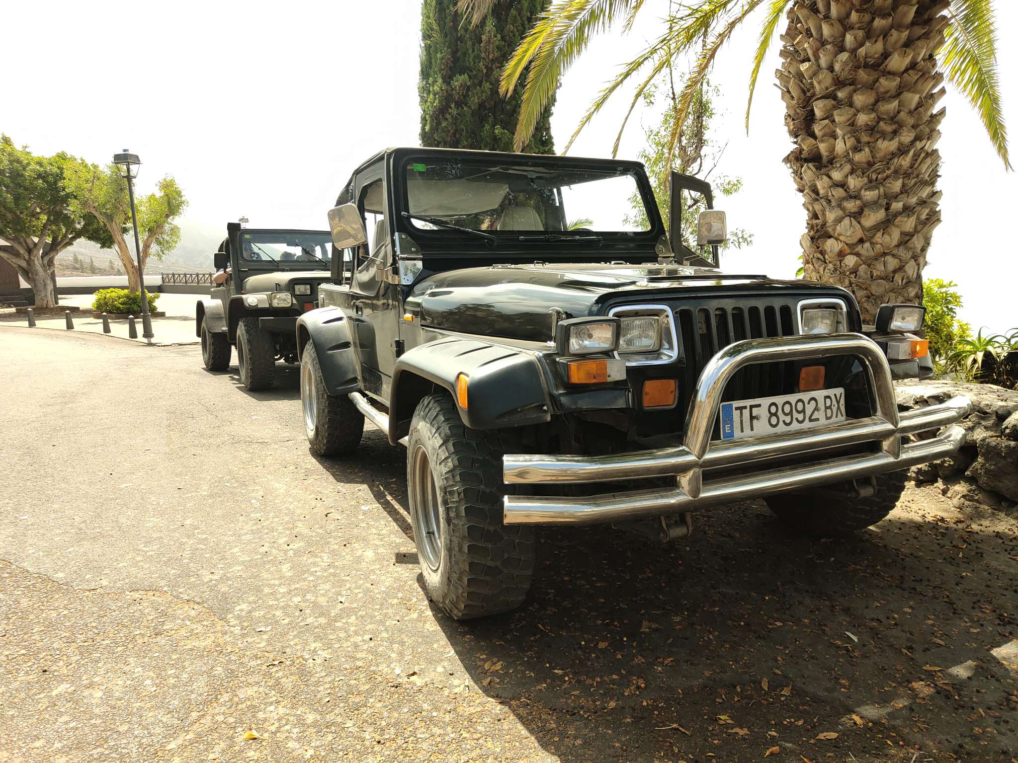 Excursión guiada y actividades en Tenerife, Islas Canarias - SOUL JEEP TOURS - Day time slide 4