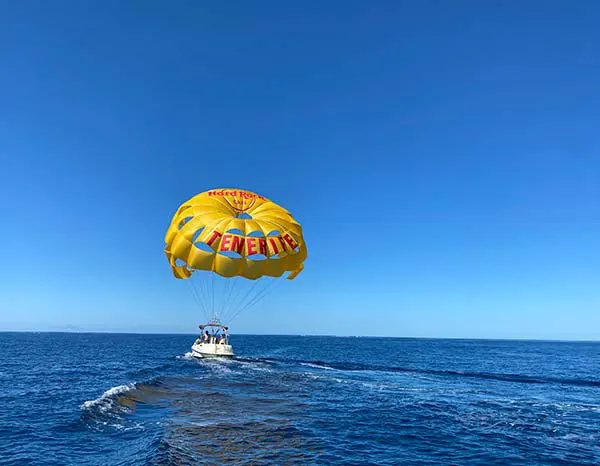 Whale watching boat trip south Tenerife Costa Adeje - AJ FLY - BOAT PARASAILING slide 3