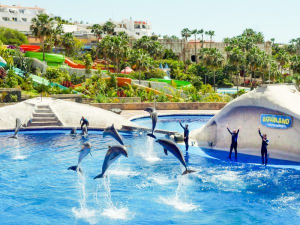 Paseo en barco y avistamiento de cetáceos en Costa Adeje, Tenerife sur - Aqualand Costa Adeje - Delfines y Parque Acuático