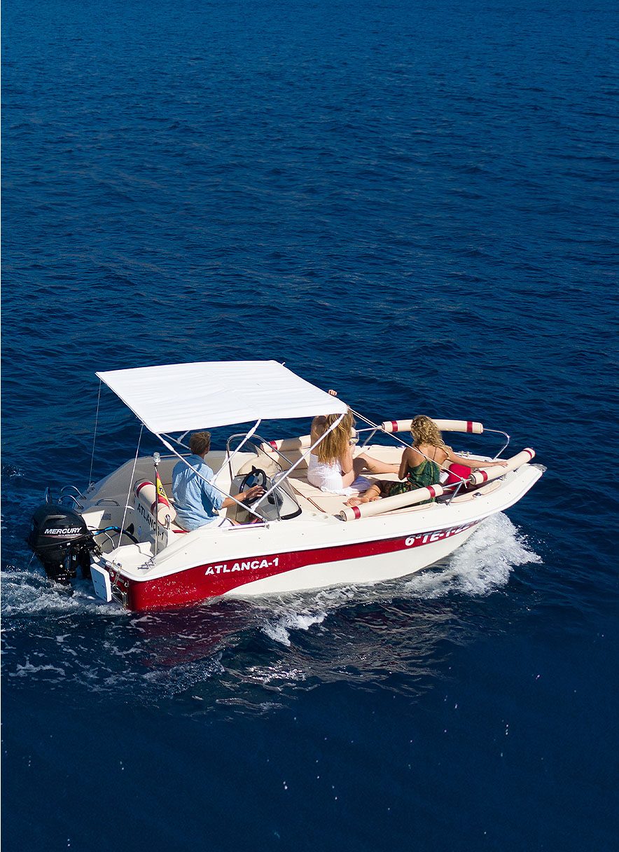 Paseo en barco y avistamiento de cetáceos en Costa Adeje, Tenerife sur - ATLANCA - Barco sin licencia