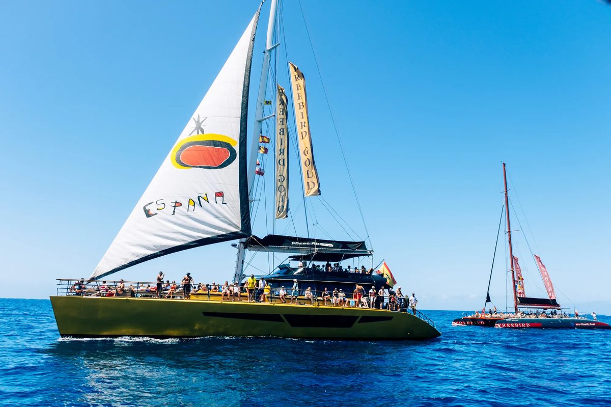 Excursión guiada y actividades en Tenerife, Islas Canarias - Paseo en Catamarán 3h - Costa Adeje slide 2