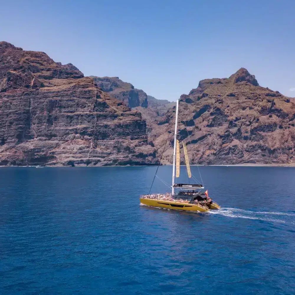 Tenerife premium guided tour and holiday activity - Catamaran 4.5h Los Gigantes & Masca Cruise