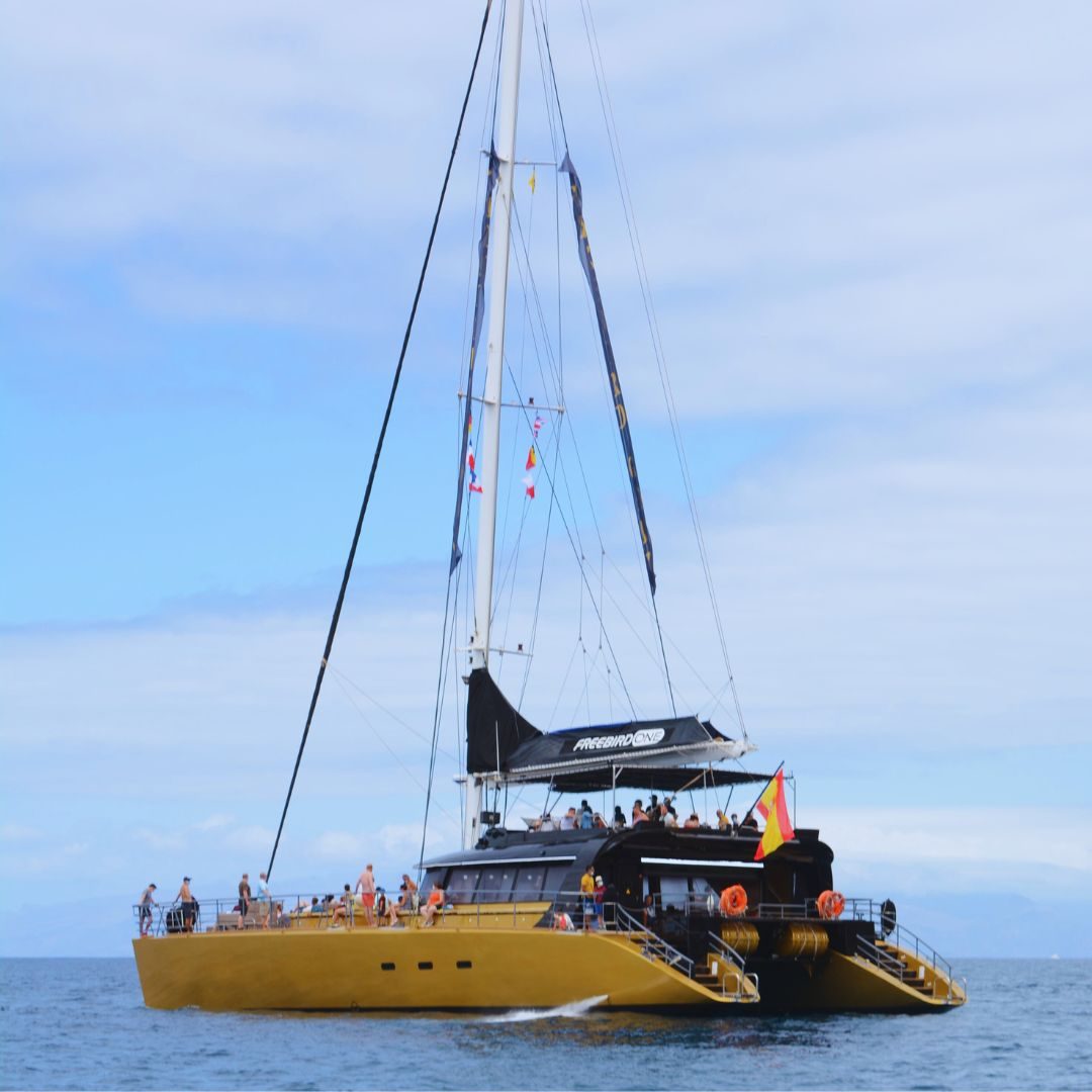 Tenerife premium guided tour and holiday activity - Catamaran 4.5h Los Gigantes & Masca Cruise slide 2