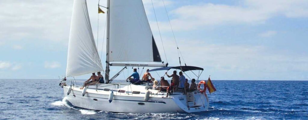 Excursión guiada y actividades en Tenerife, Islas Canarias - COOL SAILING - WHALE+DOLPHING - 3h