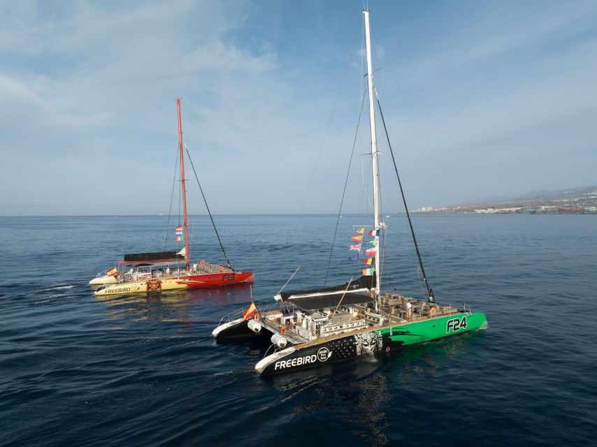 Excursión guiada y actividades en Tenerife, Islas Canarias - Aventura Marina de Costa Adeje – Paseo en Catamarán de 3h