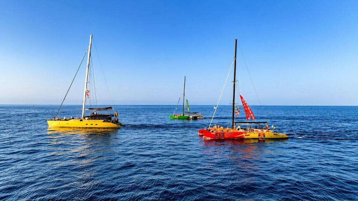 Excursión guiada y actividades en Tenerife, Islas Canarias - Aventura Marina de Costa Adeje – Paseo en Catamarán de 3h slide 2