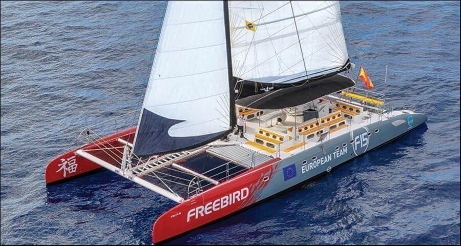 Excursión guiada y actividades en Tenerife, Islas Canarias - Aventura Marina de Costa Adeje – Paseo en Catamarán de 3h slide 4