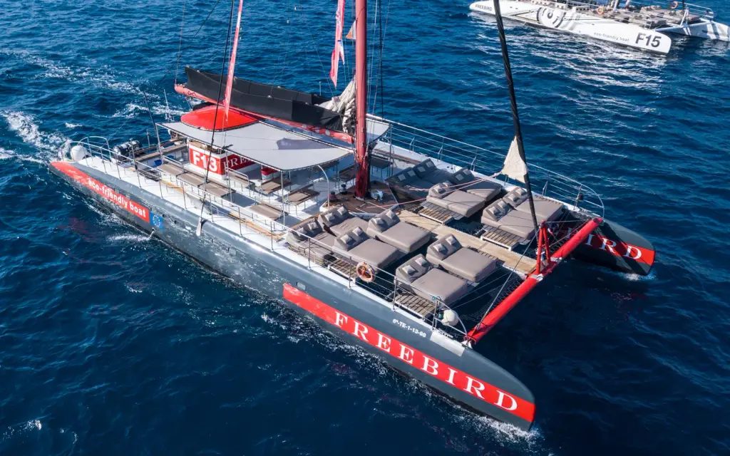 Excursión guiada y actividades en Tenerife, Islas Canarias - Aventura Marina de Costa Adeje – Paseo en Catamarán de 3h slide 5