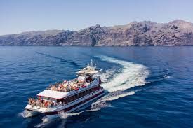 Excursión guiada y actividades en Tenerife, Islas Canarias - Eco Safari de Avistamiento de Delfines y Ballenas slide 2