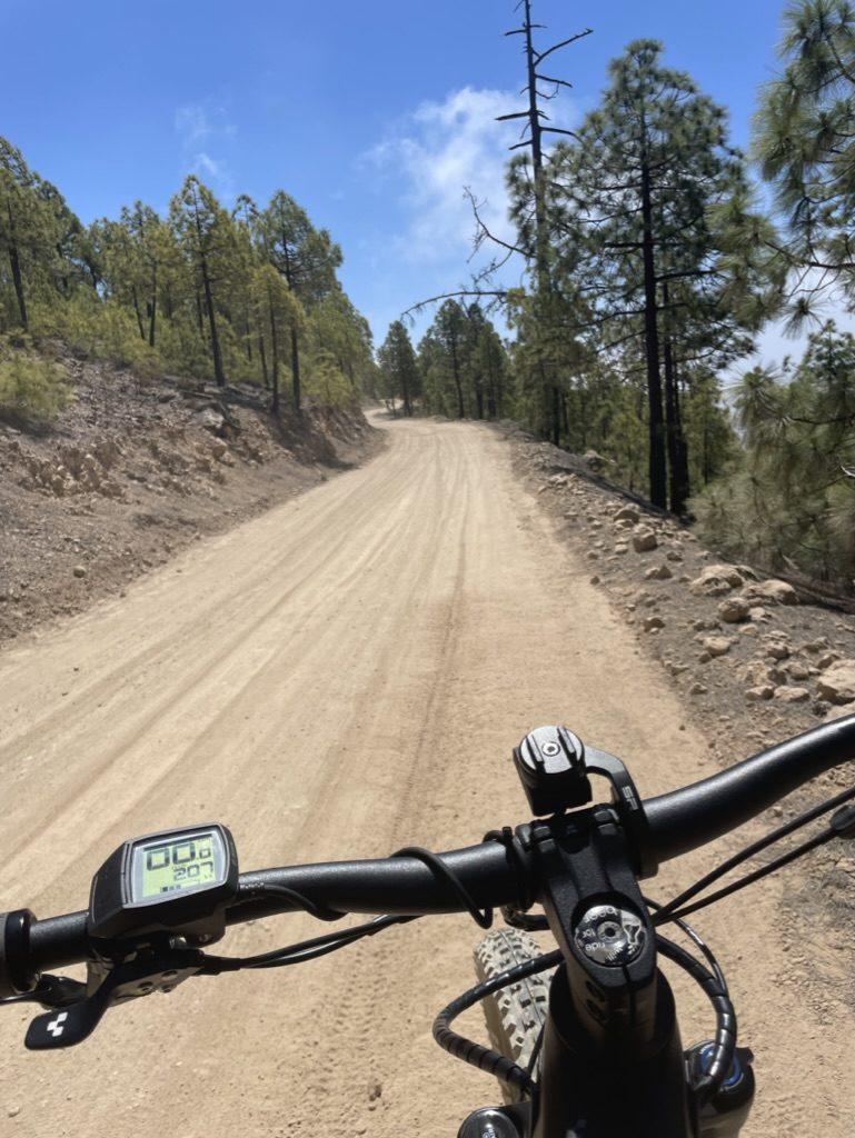 Excursión guiada y actividades en Tenerife, Islas Canarias - Ruta en E-MTB Fácil por el Bosque desde Vilaflor slide 2