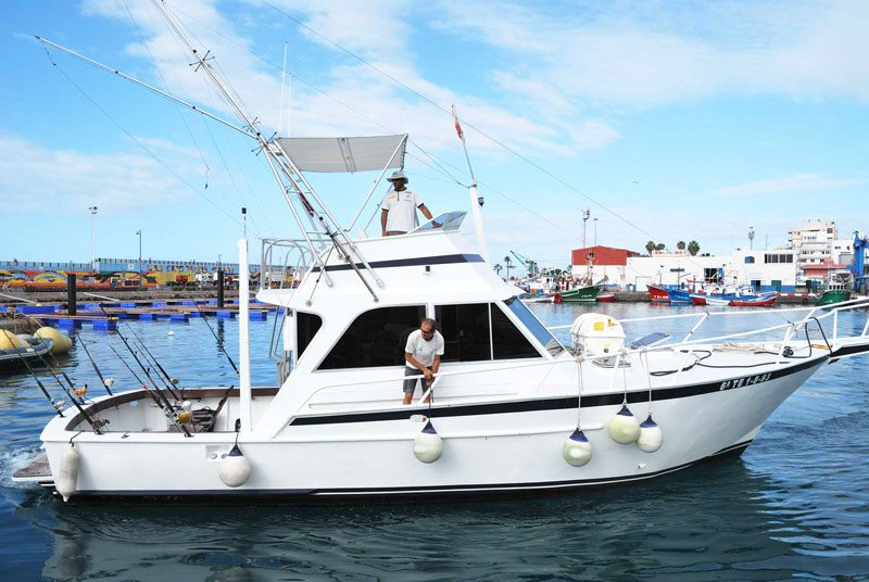 Paseo en barco y avistamiento de cetáceos en Costa Adeje, Tenerife sur - Barco de Pesca Privado - Chárter de 6h
