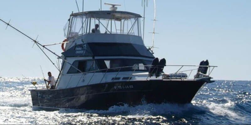 Paseo en barco y avistamiento de cetáceos en Costa Adeje, Tenerife sur - Barco de Pesca Privado - Chárter de 6h slide 3