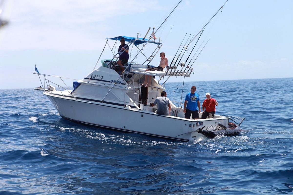 Whale watching boat trip south Tenerife Costa Adeje - Fishing Boat - Shared 4h Excursion (No Limits) slide 2
