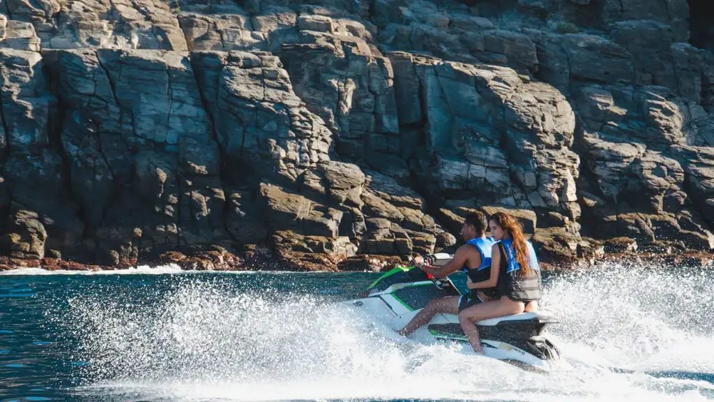 Whale watching boat trip south Tenerife Costa Adeje - Jet Ski Explorer Tour - 2h Ocean Safari slide 2
