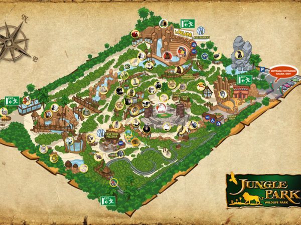 Rejs statkiem i oglądanie delfinów w Costa Adeje na południu Teneryfy - Jungle Park - Bilety do Dzikiej Dżungli