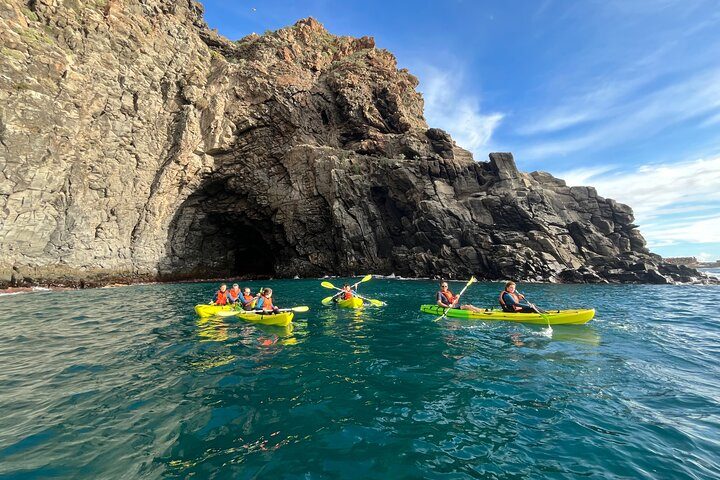 Rejs statkiem i oglądanie delfinów w Costa Adeje na południu Teneryfy - SHINGI KAYAK Rental/Tours 