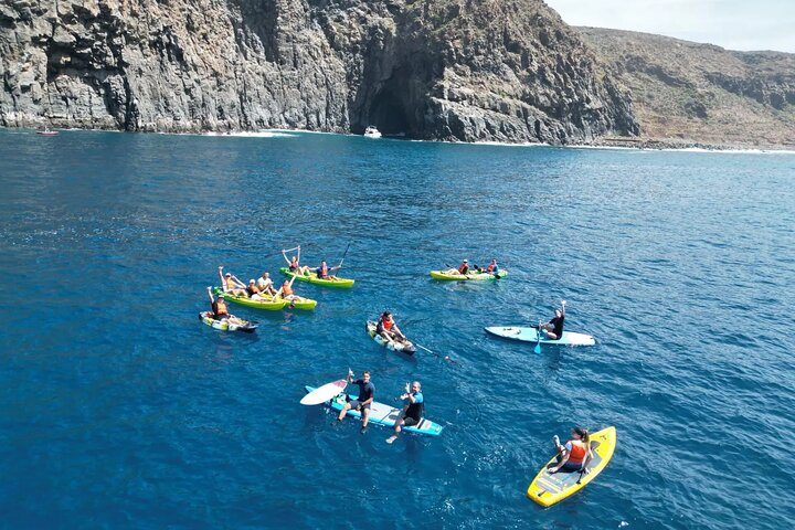 Rejs statkiem i oglądanie delfinów w Costa Adeje na południu Teneryfy - SHINGI KAYAK Rental/Tours  slide 2