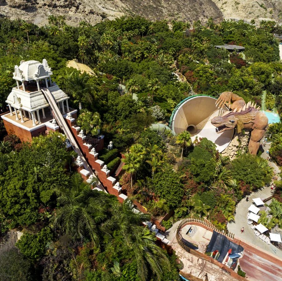 Paseo en barco y avistamiento de cetáceos en Costa Adeje, Tenerife sur - Entradas para Siam Park - El mejor parque acuático del mundo slide 3