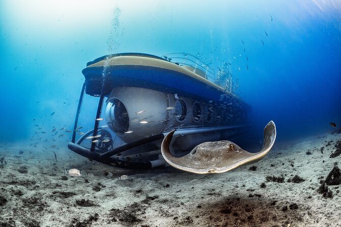 Rejs statkiem i oglądanie delfinów w Costa Adeje na południu Teneryfy - Łódź Podwodna Submarine - Rejs pod Wodą 1h