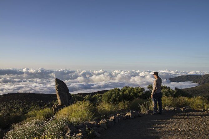 Excursión guiada y actividades en Tenerife, Islas Canarias - Parque Nacional del Teide - Excursión de Medio Día