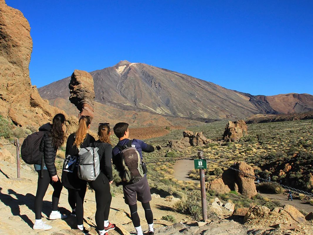 Excursión guiada y actividades en Tenerife, Islas Canarias - Parque Nacional del Teide - Excursión de Medio Día slide 2