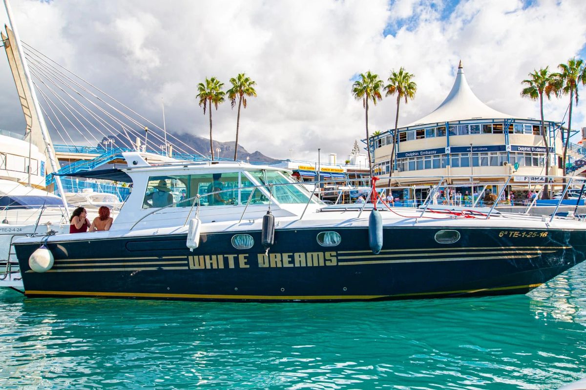 Excursión guiada y actividades en Tenerife, Islas Canarias - WHITE DREAMS - WHALE+DOLPHING - 3h