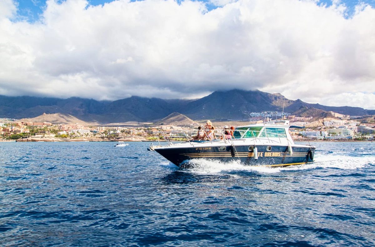 Excursión guiada y actividades en Tenerife, Islas Canarias - WHITE DREAMS - WHALE+DOLPHING - 3h slide 2